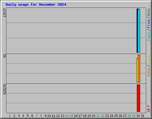 Daily usage for December 2024