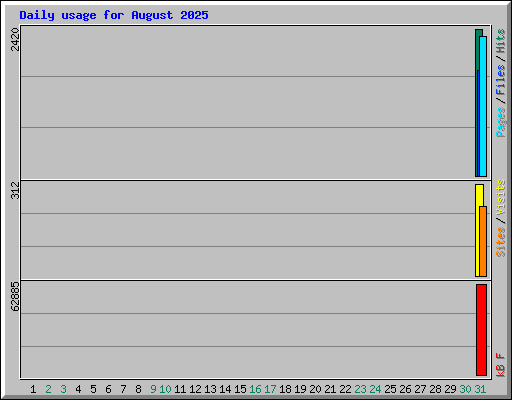 Daily usage for August 2025