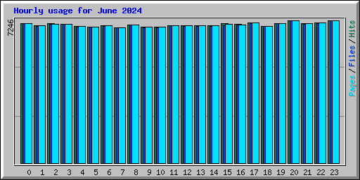 Hourly usage for June 2024