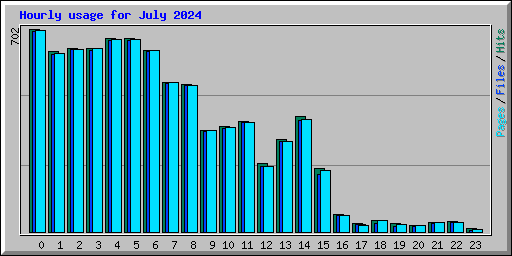 Hourly usage for July 2024