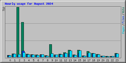 Hourly usage for August 2024