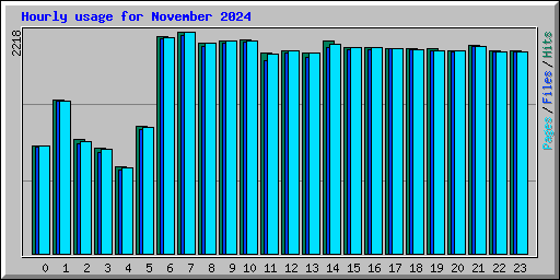 Hourly usage for November 2024