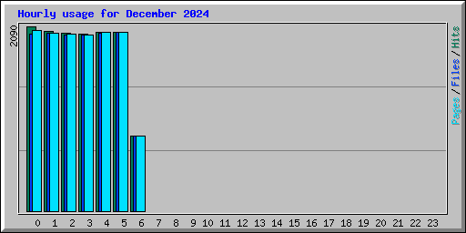 Hourly usage for December 2024