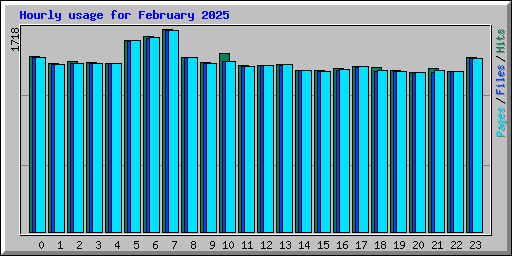 Hourly usage for February 2025