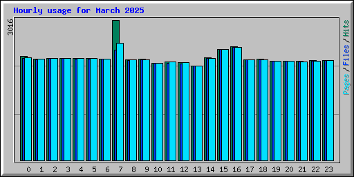 Hourly usage for March 2025