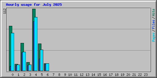 Hourly usage for July 2025