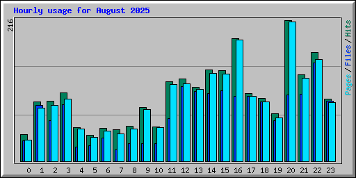 Hourly usage for August 2025