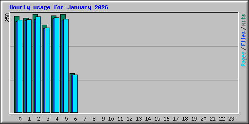 Hourly usage for January 2026